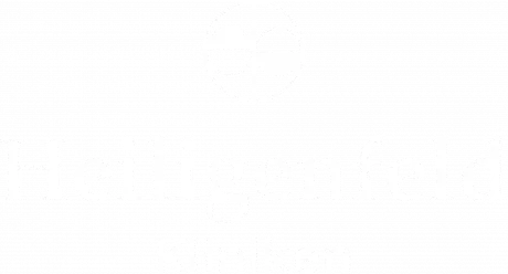 Heiligenfeld Kliniken Logo