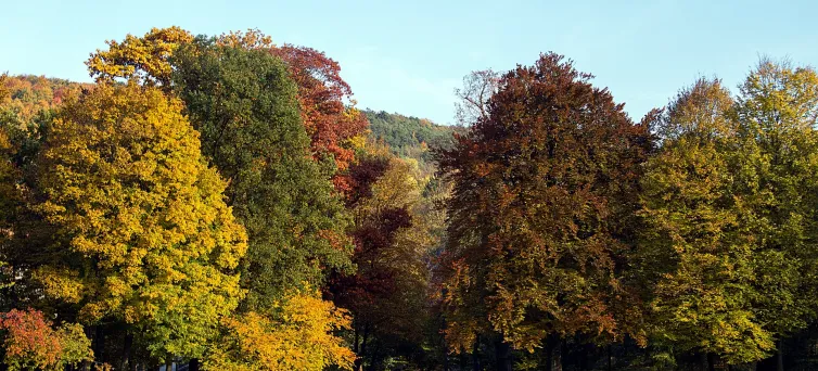 Kartinka und Heiligenfeld Kliniken 