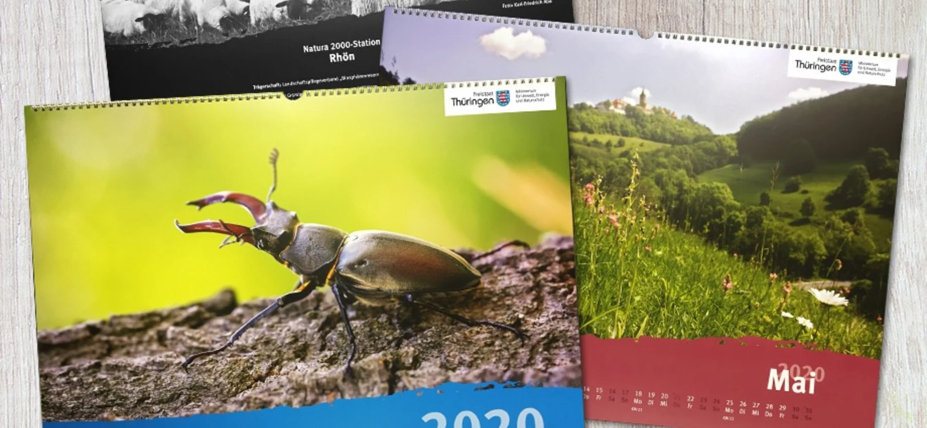 TMUEN Kalender TMUEN Kalender