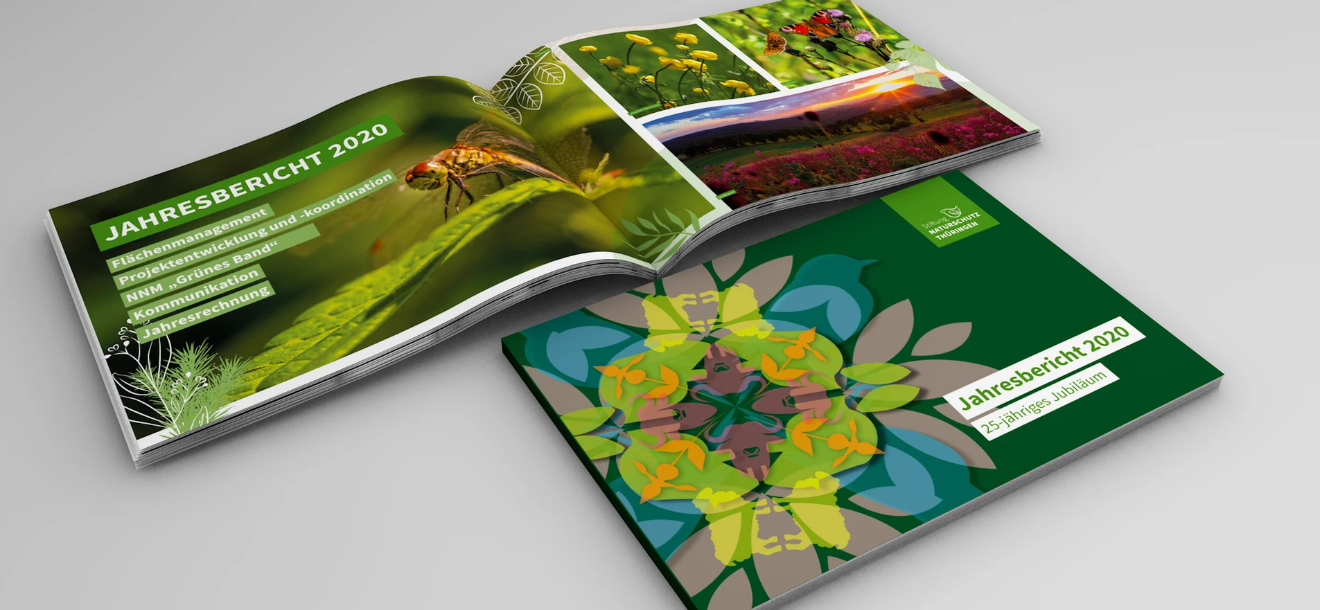 Stiftung Naturschutz Thüringen - Jahresbericht Stiftung Naturschutz Thüringen - Jahresbericht
